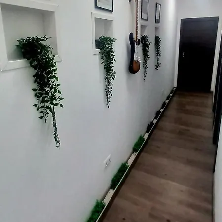 Airport Tenerife Norte Holiday home La Laguna (Tenerife)