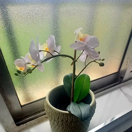 Airport Tenerife Norte Nyaraló